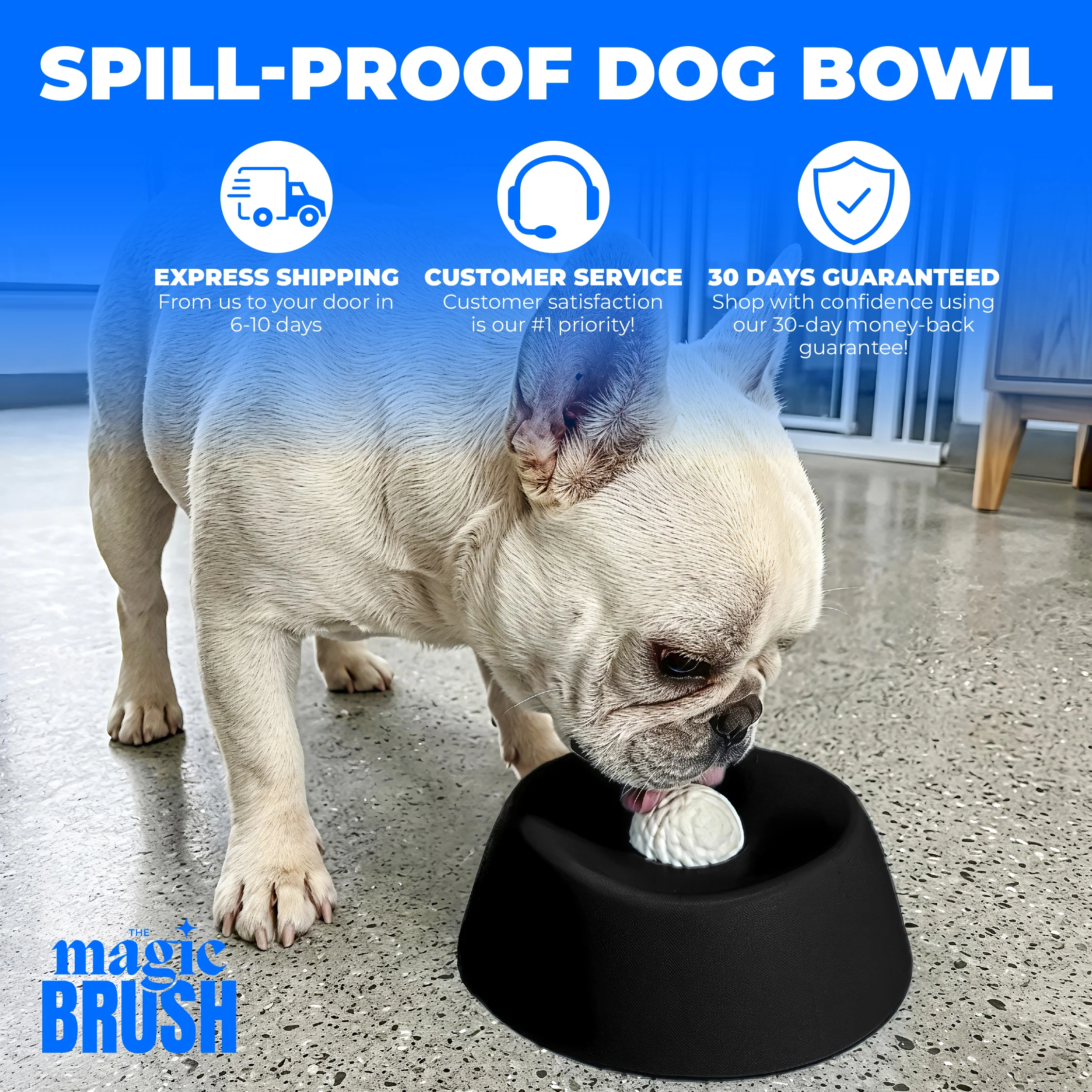 Spill-Proof Dog Bowl - Image 8
